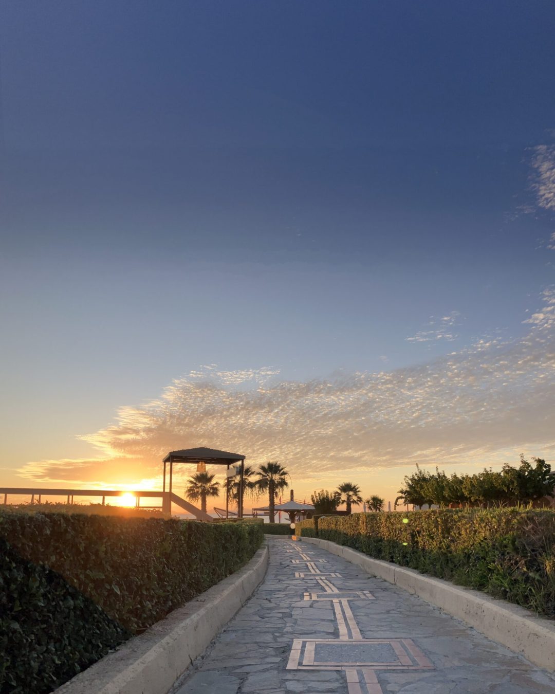 Aldemar_3_smkmcy