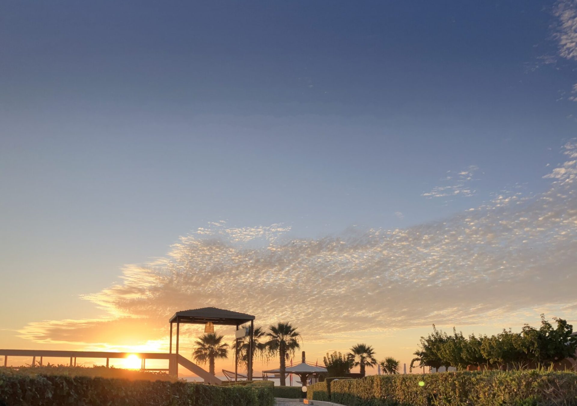 Aldemar_3_smkmcy