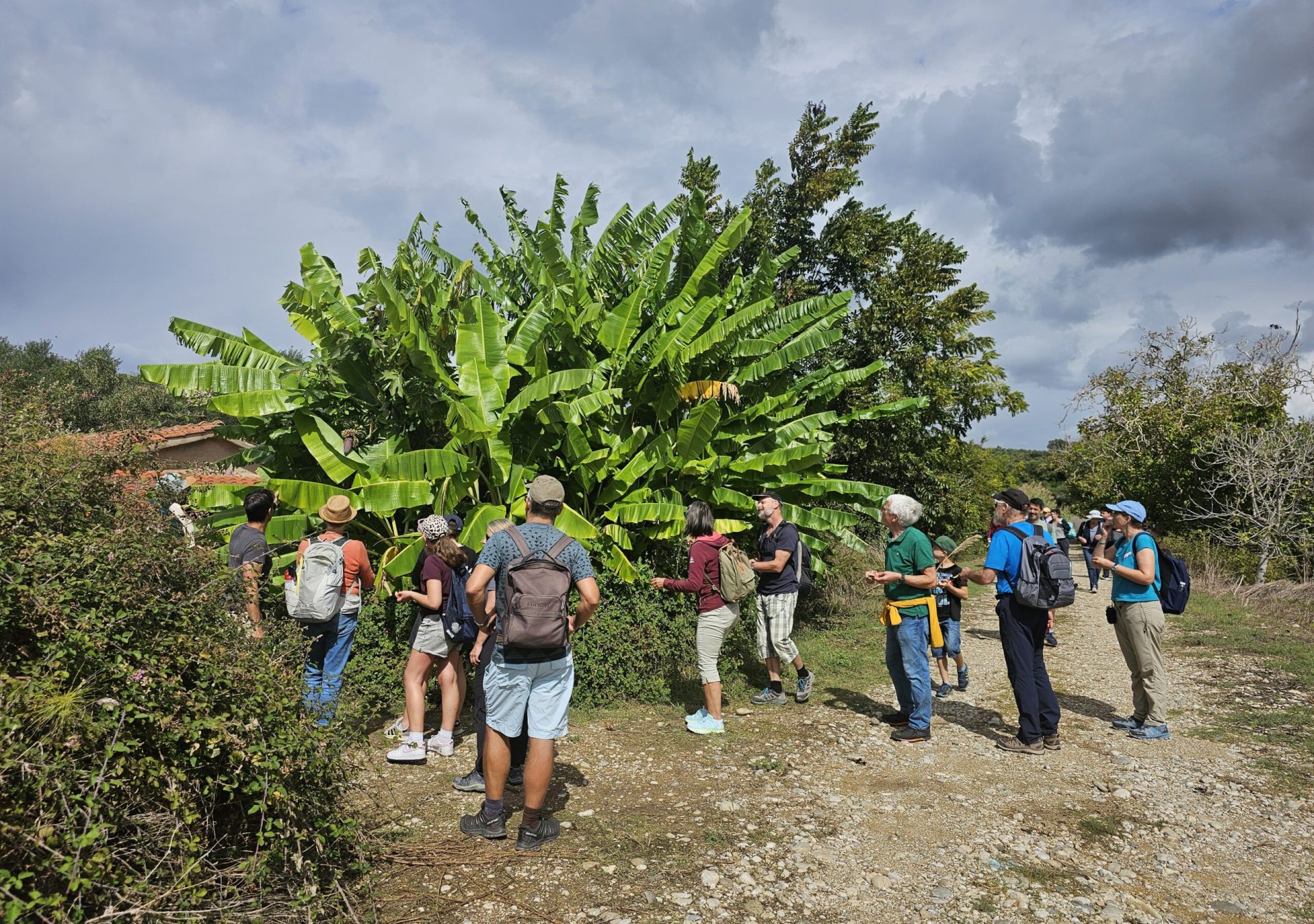 AusflC3BCge_13_zclg5f