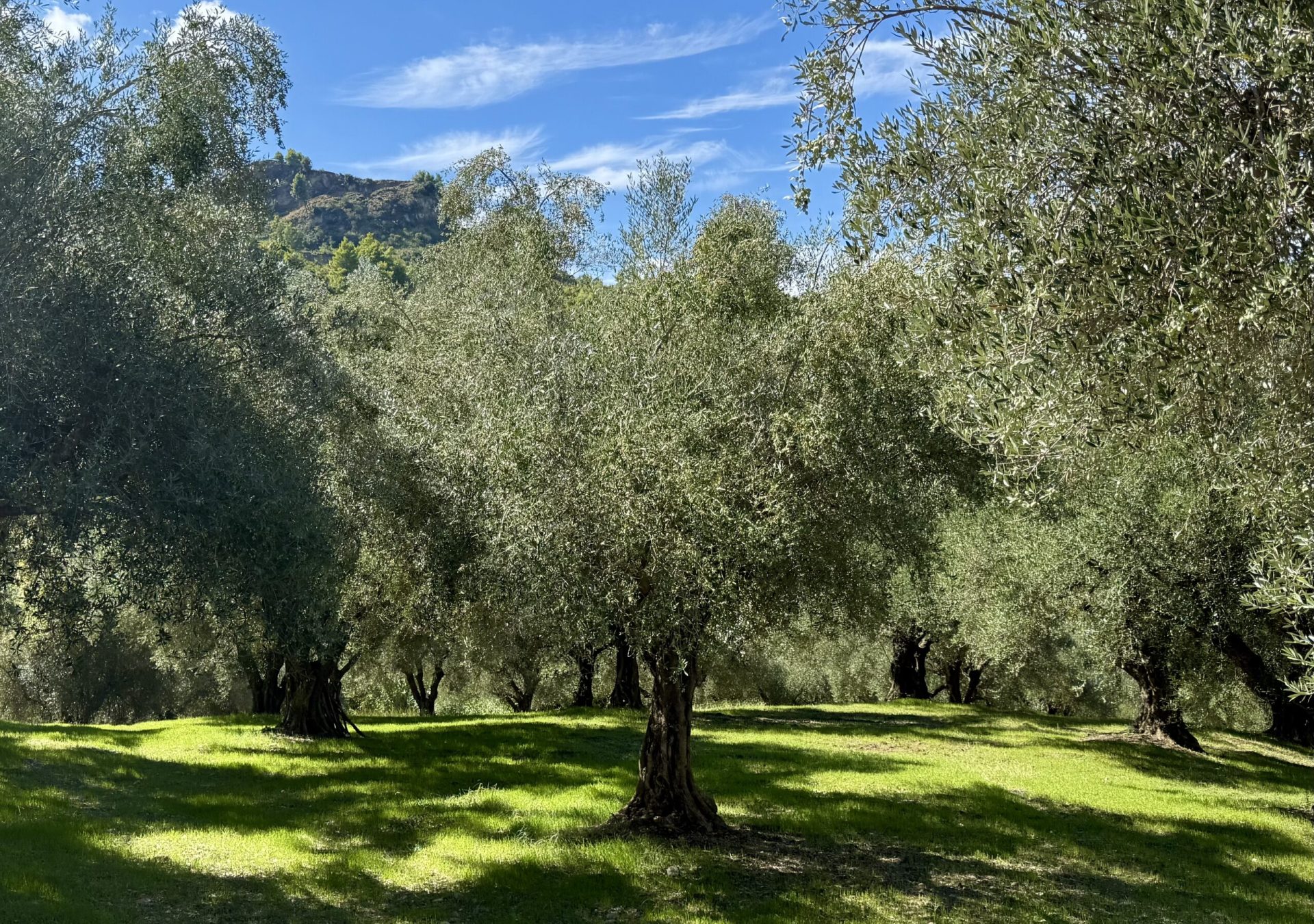 AusflC3BCge_24_zj1igc